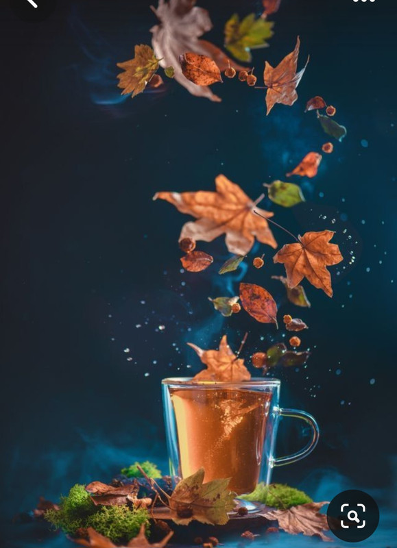 Screenshot_20231115_210137_Pinterest