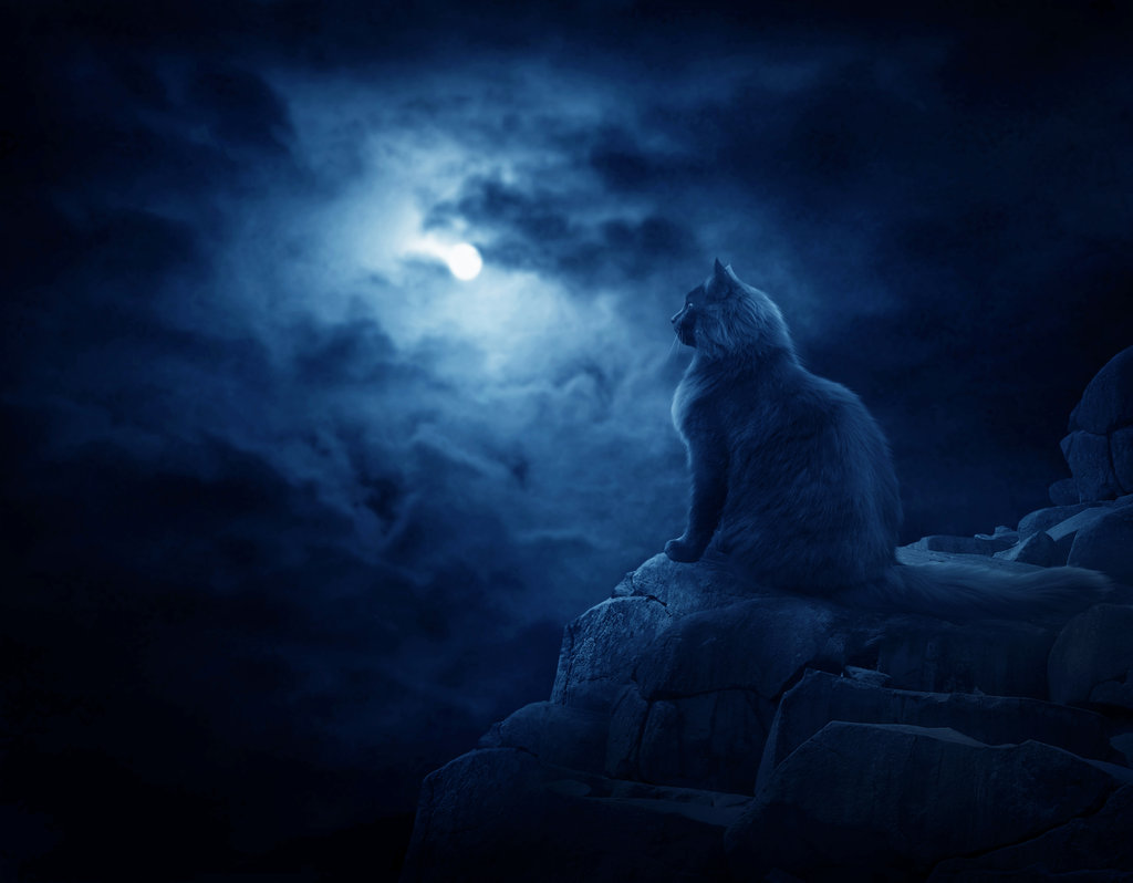 Dark-times-by-moroka323