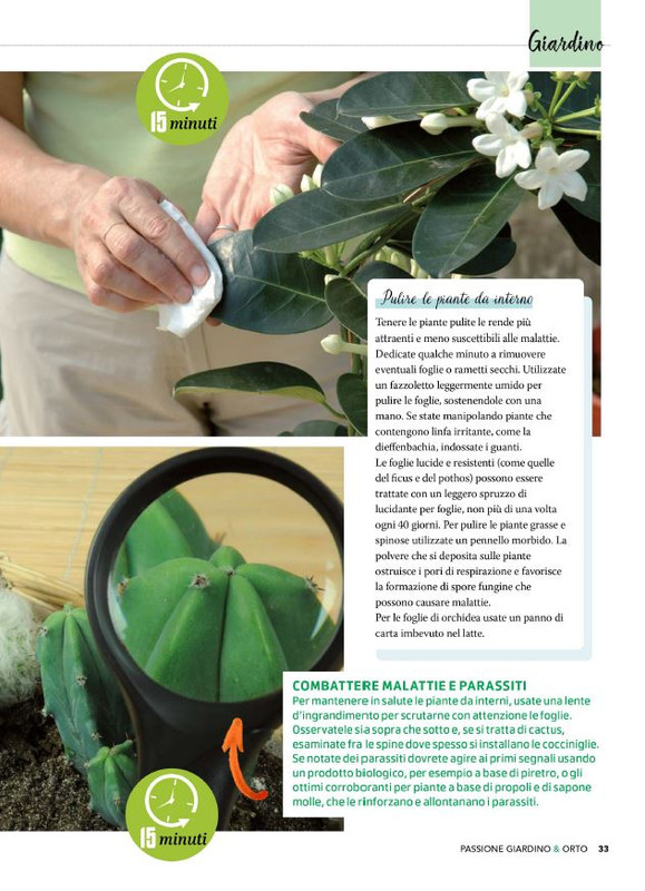 Pass Giar e Orto Lug 2025 (4)