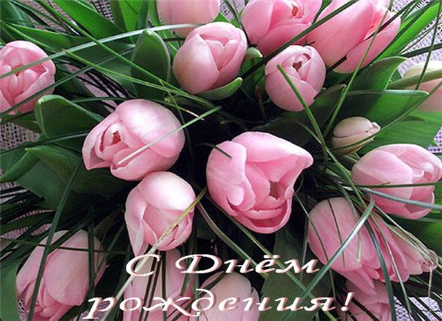 https://i.postimg.cc/CL56SNpX/381ab2e72dd10c22a514328e7018722a-ca1e.jpg