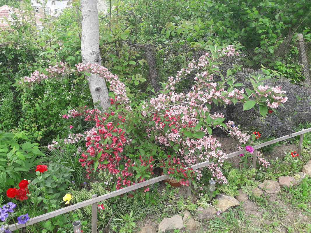 20190505_130943