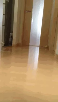 You Died