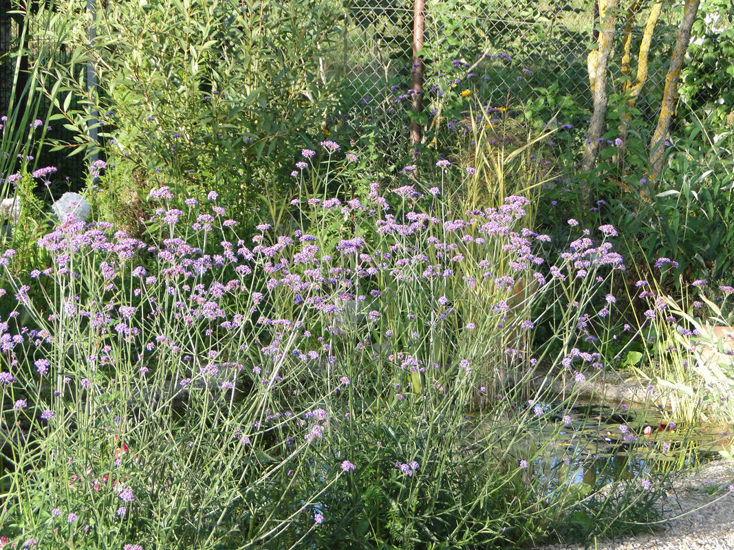 DSC09259