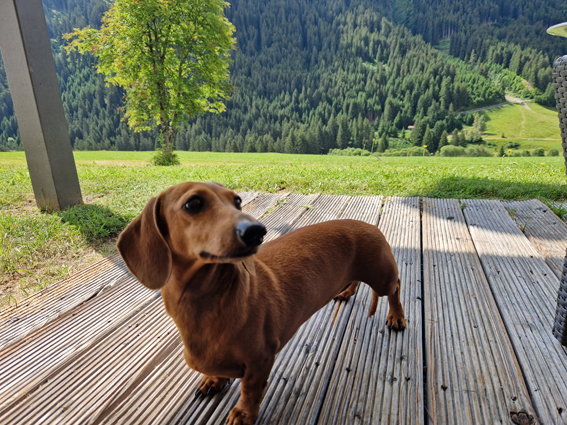 [Image: 20230701-105107.jpg]