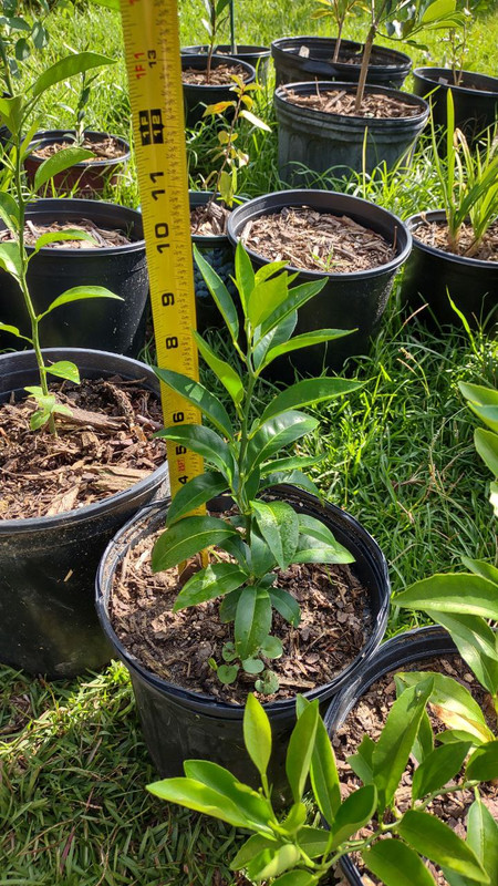 photo_2025-07-23_09-30-08 (7)