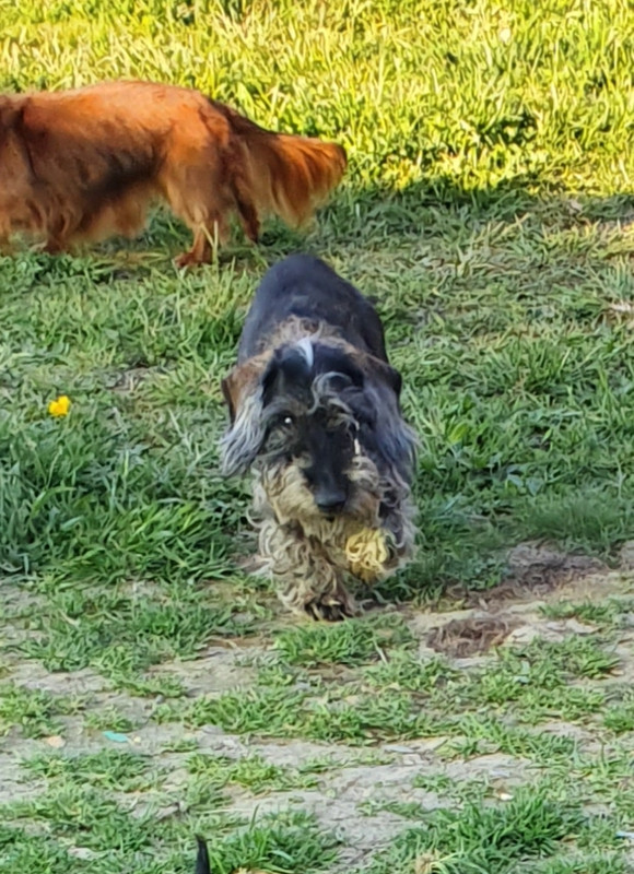 [Image: 20220419-073435.jpg]