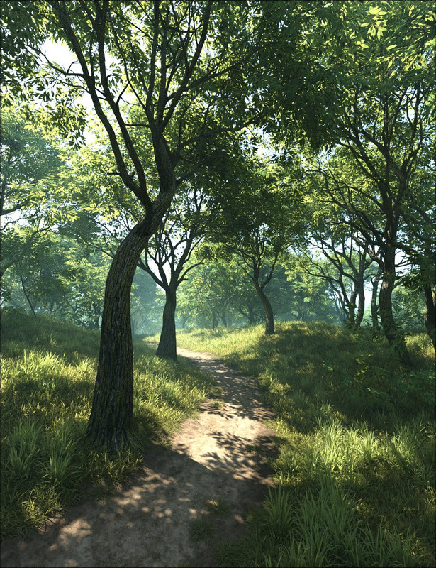 Grassy Grove Grassy Grove