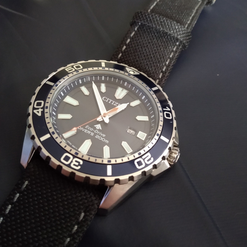 Citizen BN0191-55L Promaster IMG-20190326-125238