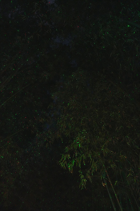 DSC02526