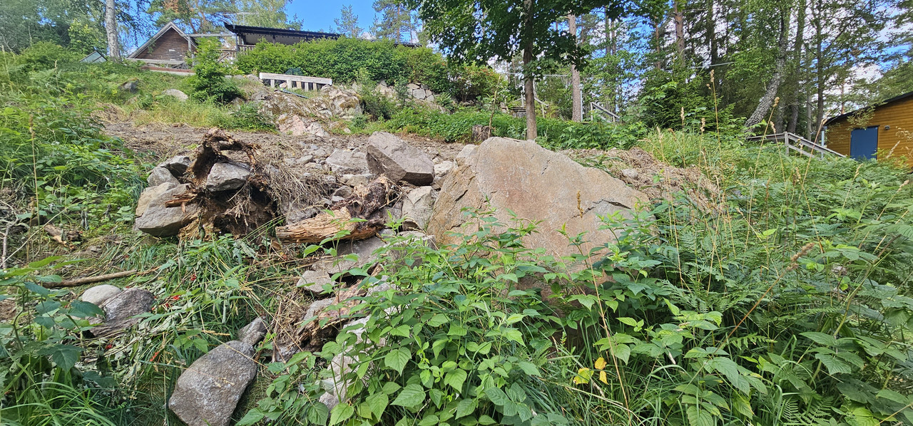 20230723-093805.jpg