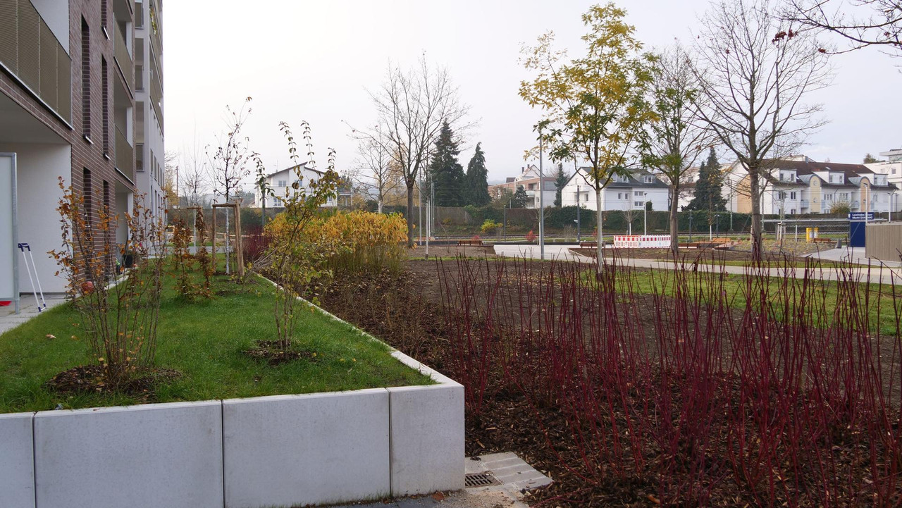 [Bild: 081125-091543-199b.jpg]