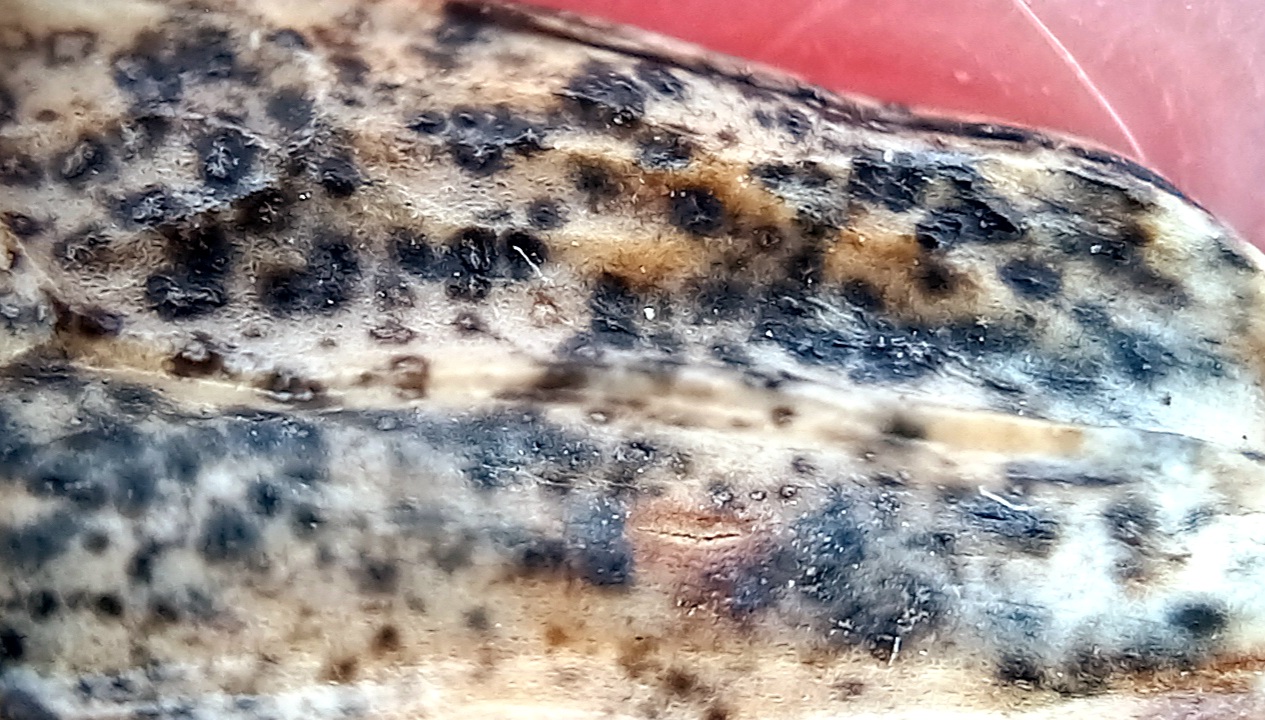 20250120-025122