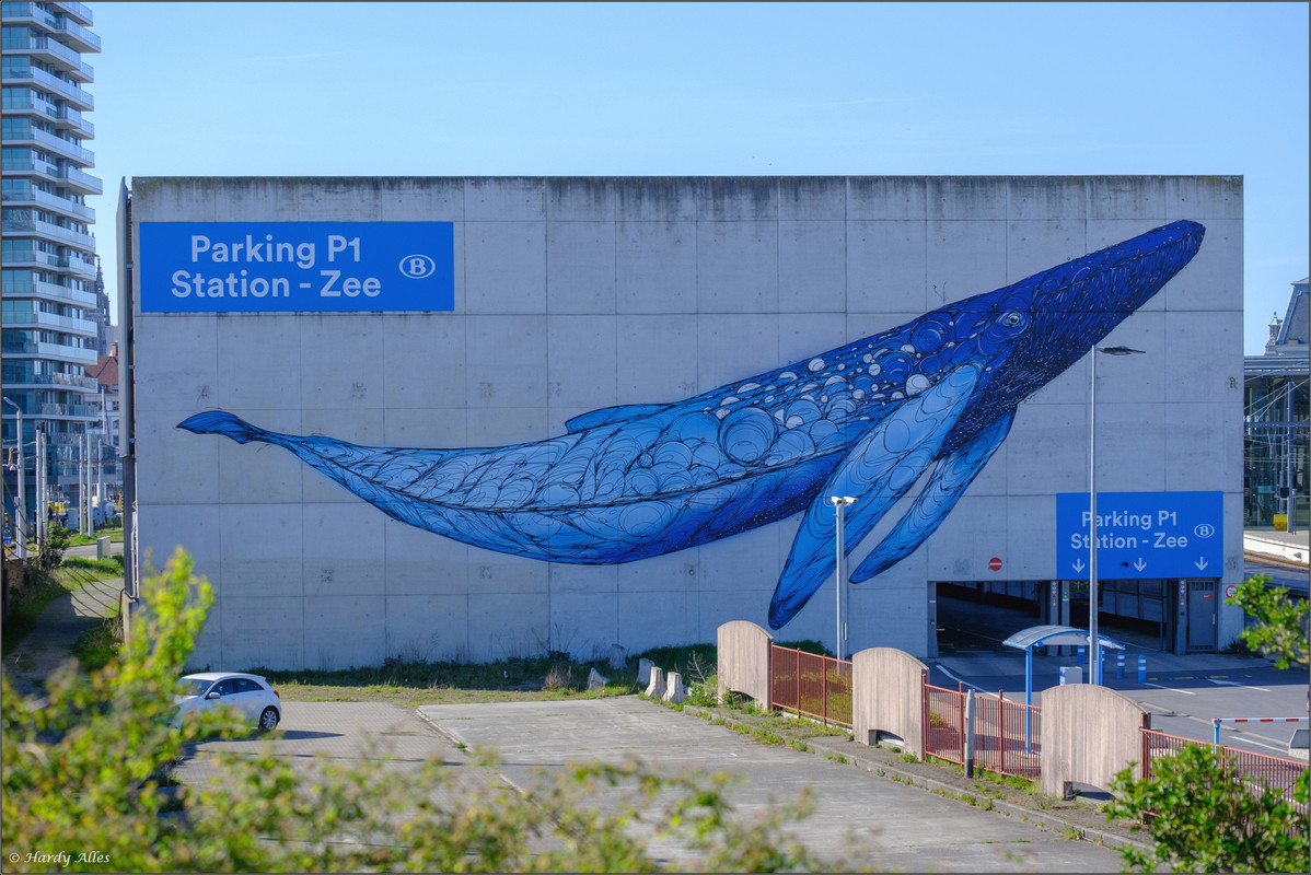 XT4G6638 2023 De Haan Ostende LR ERWZ FB