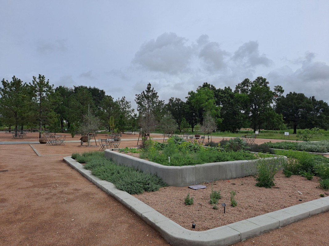 Culinary Garden - Mediterranean