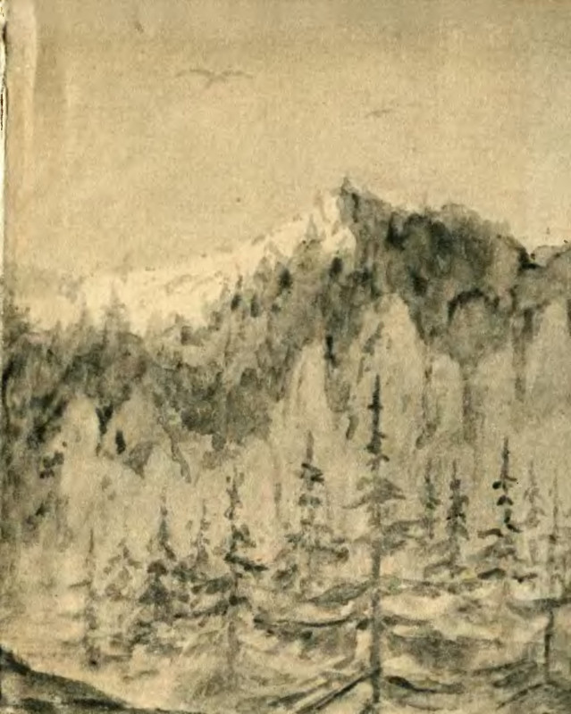 p0245