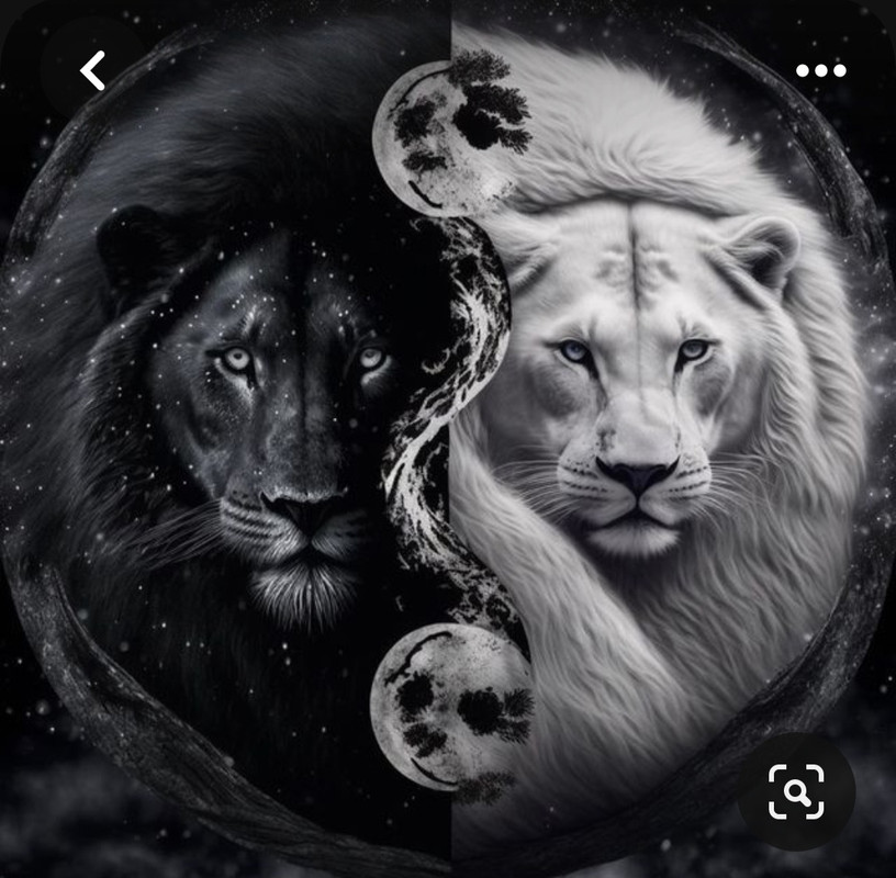 Screenshot_20230922_004258_Pinterest