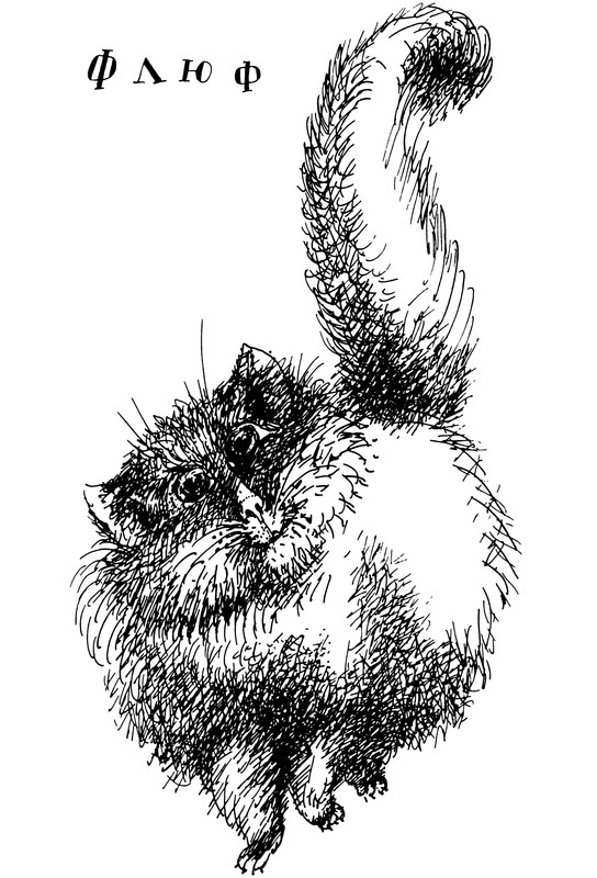 p0019