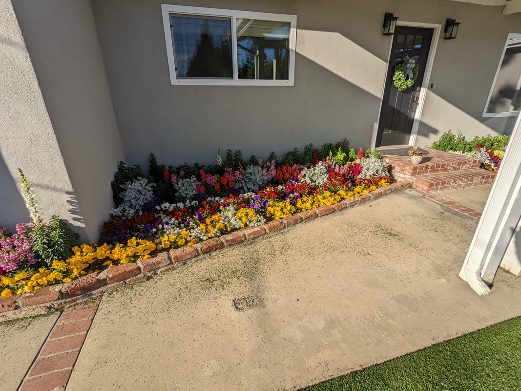 PXL_20220308_001041276