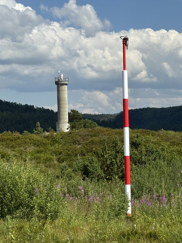 IMG-7737.jpg