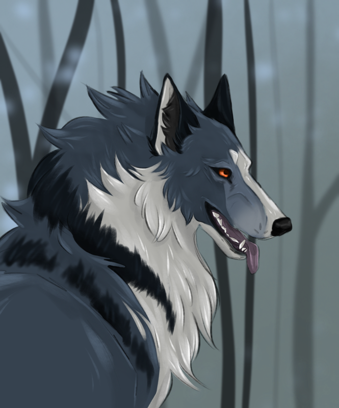 IMG-3180.png