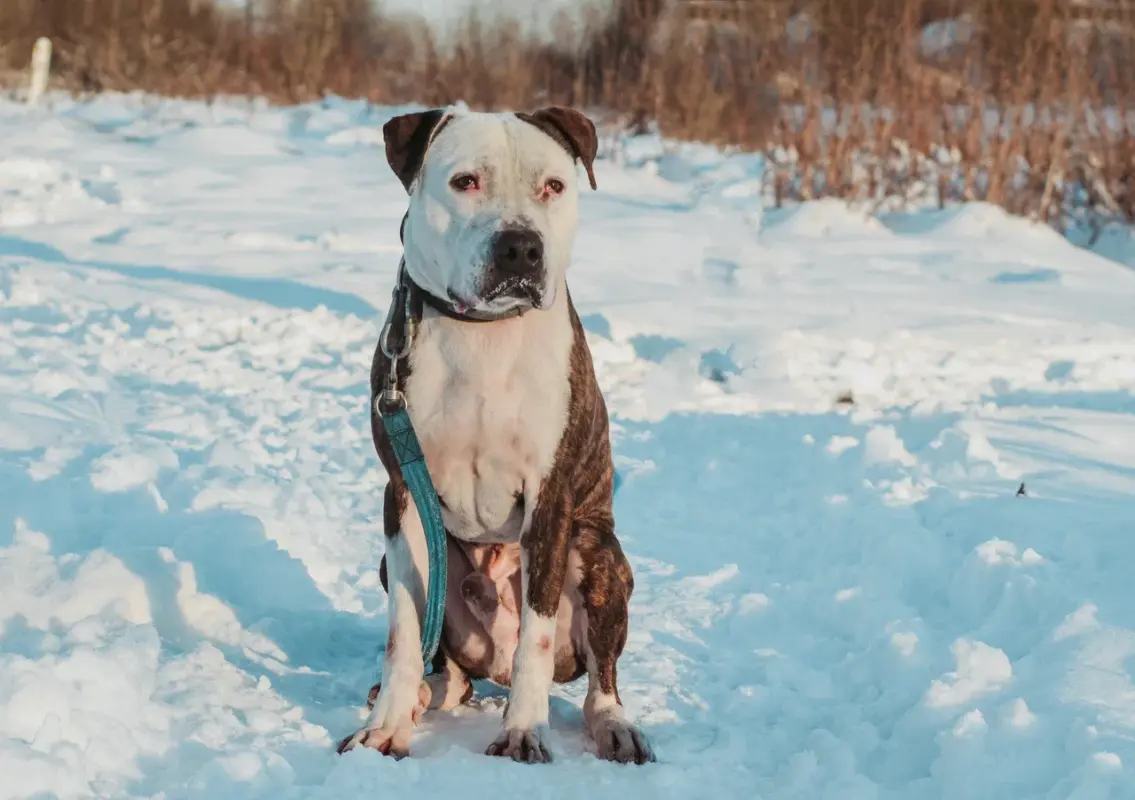 2021-12-12 02-08-26 (1)