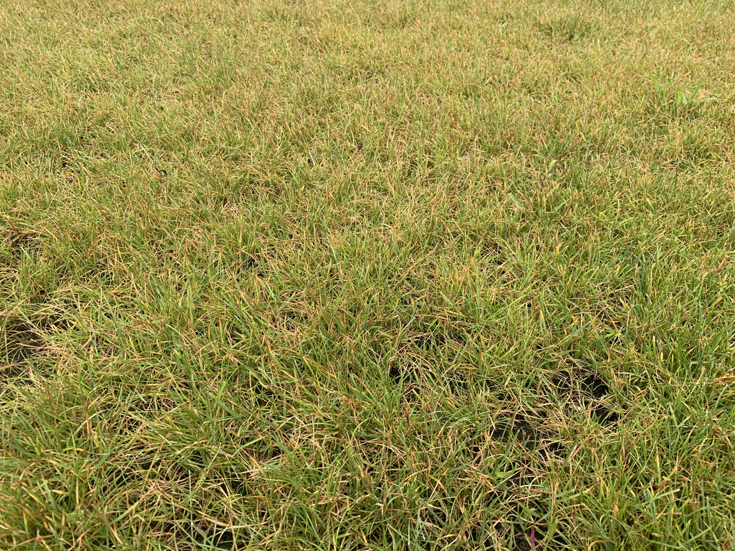 D8F03406-EA0E-42FA-8A4E-DB8A375F29A3