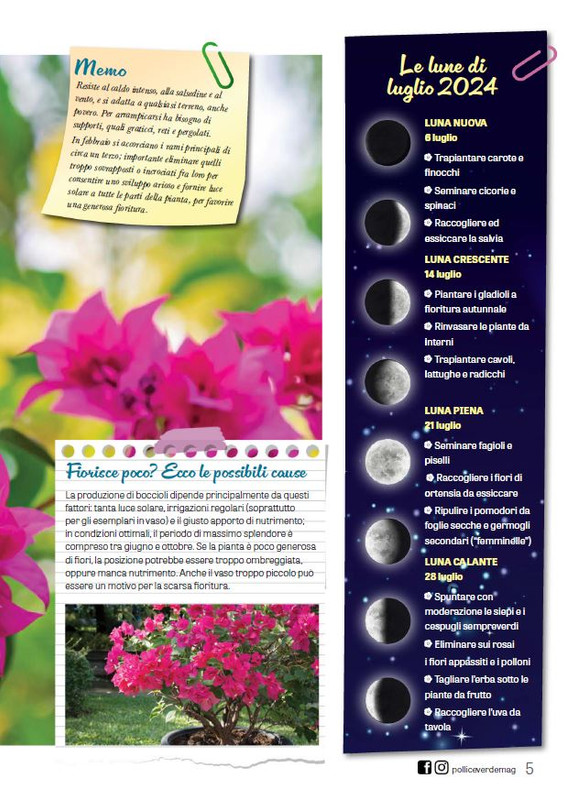 Pol Ver Lug 2024 (2)