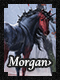 Morgan