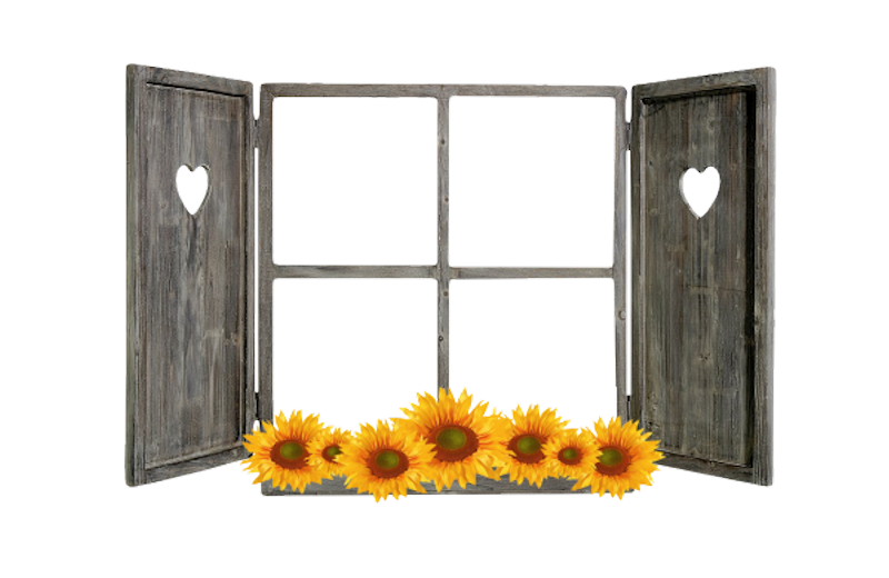 IPD_AH_Element (117)