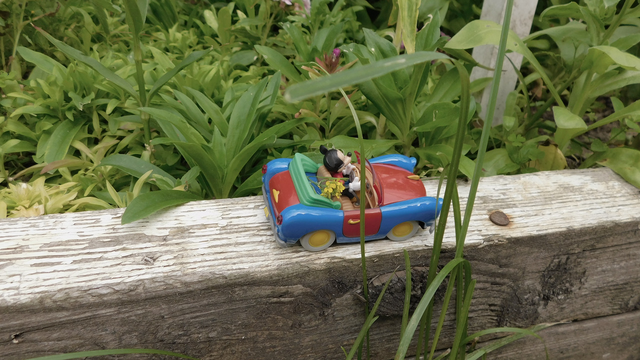 Дачное июль кудряшка , маус-машина и природа 028