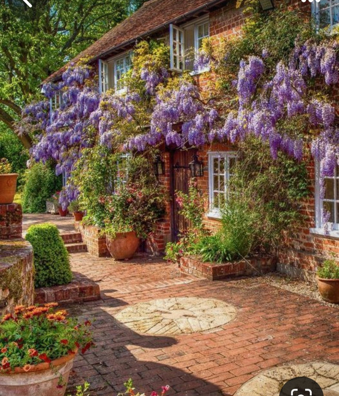 Screenshot_20240404_194714_Pinterest