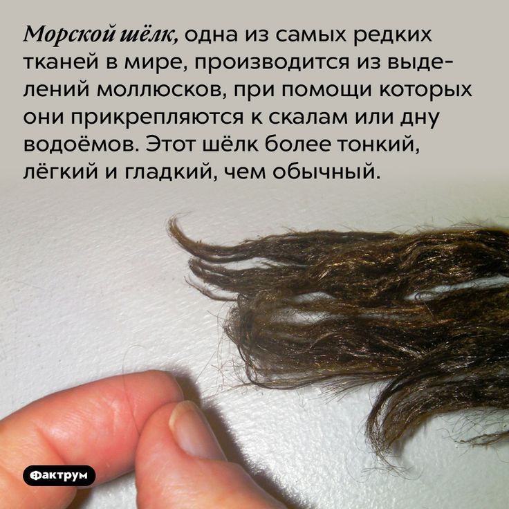 [Изображение: ce953cd6138a2267434b524b5ed4cccf.jpg]