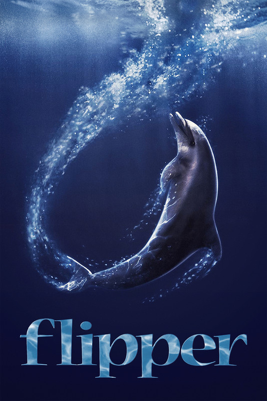 flipper-ka-tt-1080x1620