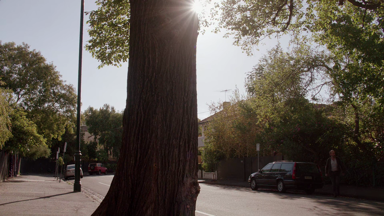 vlcsnap-2023-03-21-20h26m32s286