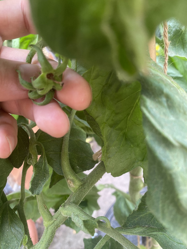 B6F85153-B0D4-451D-A200-E626FD835362