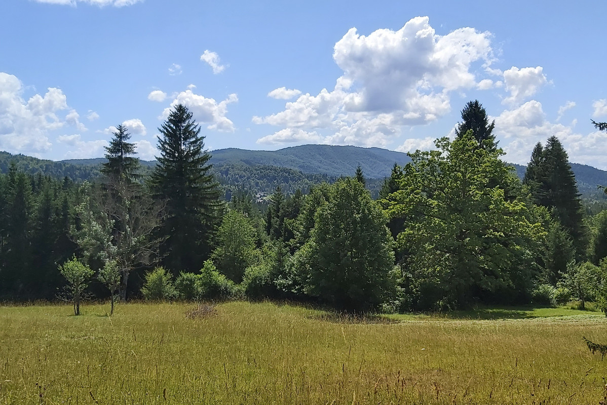 20210714-150340-c.jpg