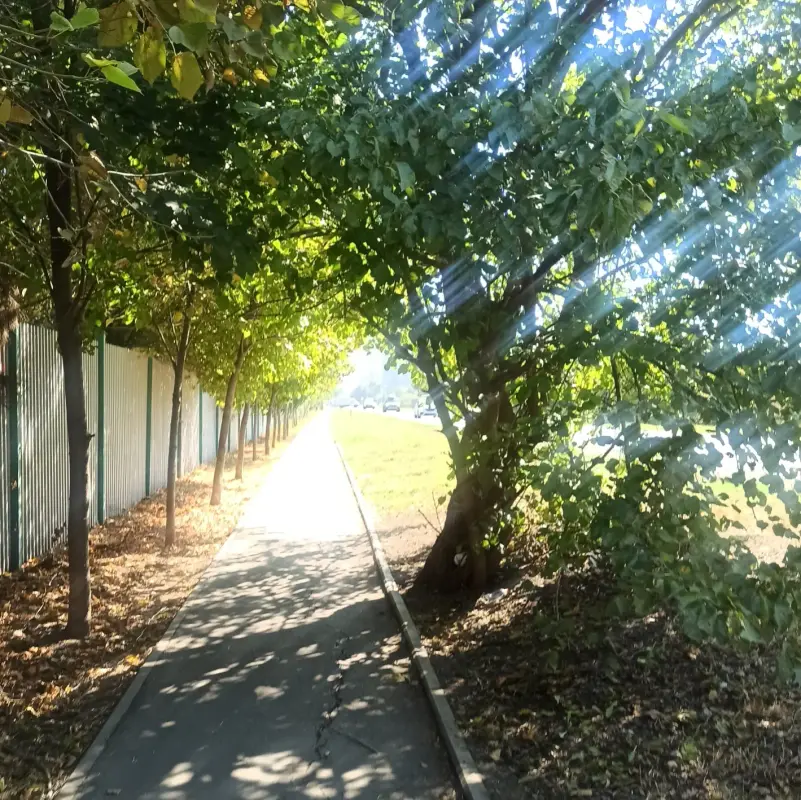 IMG_20230918_113754_501