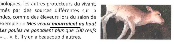 https://i.postimg.cc/CL9ZLpwf/a-e-la-grammaire.png