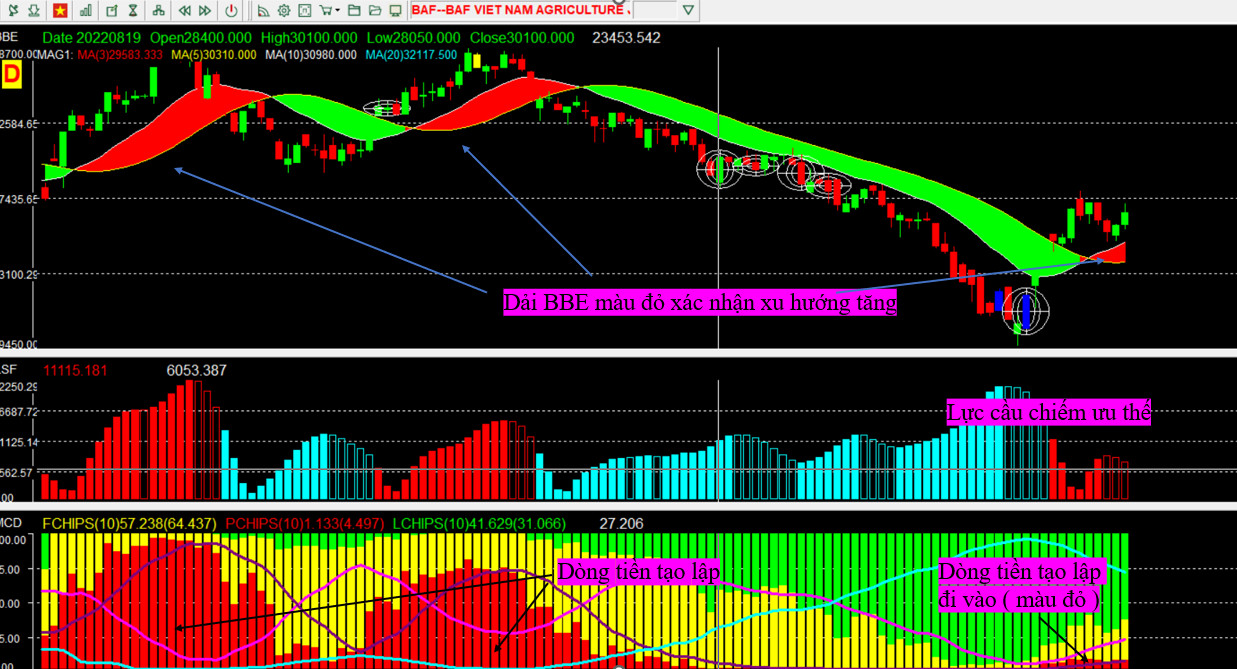 z3829019680135_f1b53b99588f622f314e0c20a2db1def