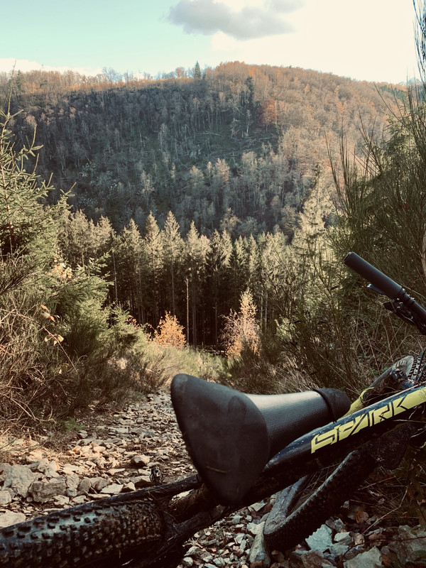 9C0390F1-C4E8-45B7-BE74-6DF49D0F8379_1_201_a