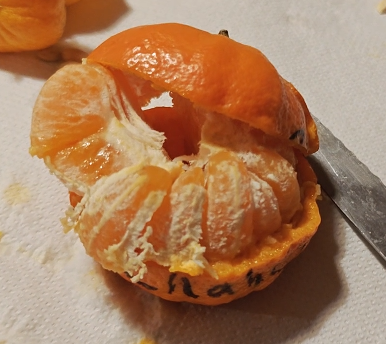 Citrus changsha