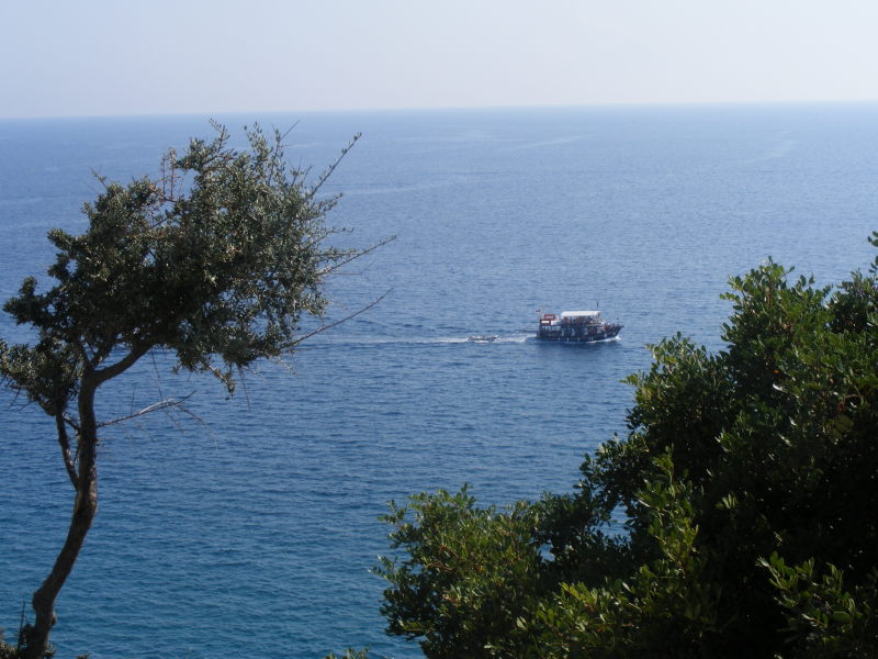 Slika