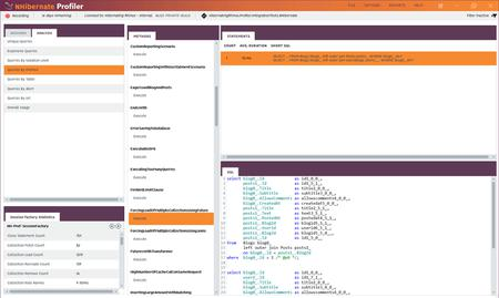 NHibernate Profiler 6.0.6033