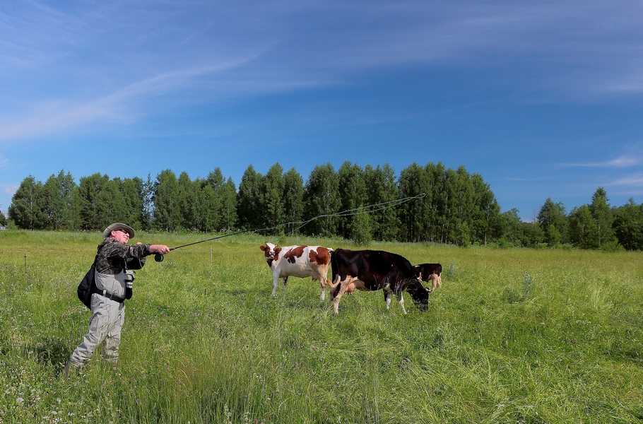 IMG_5738 (Копировать)