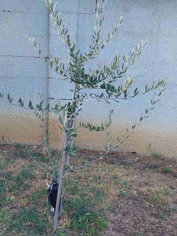 0 02 05 135c13f5ea4ad4dd198ec5a39348e670750d95ccc09c2628ac2d887168f9b0bd 14ca66e17530f5c8