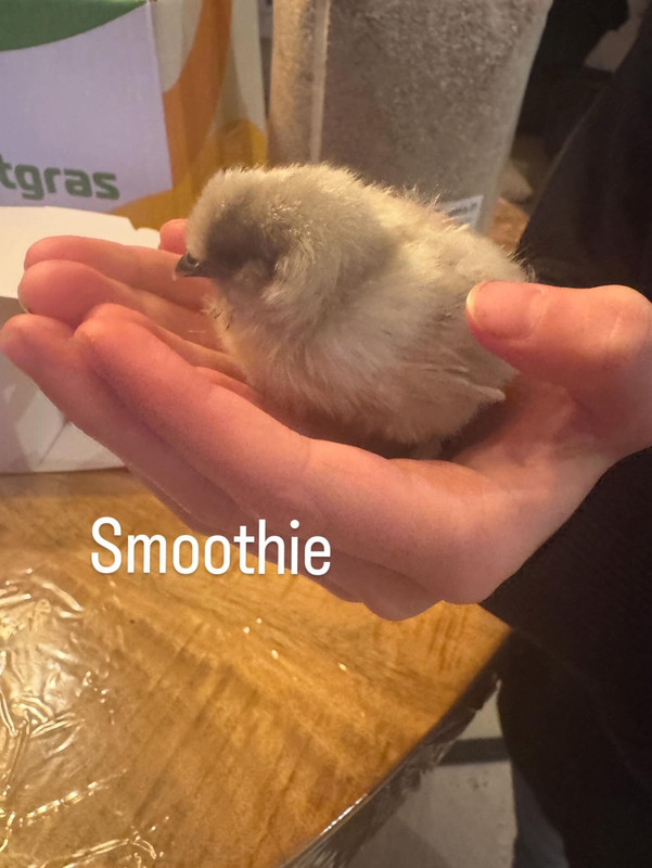 c2a2b768 9e9d 4256 a275 ea03072f7e78