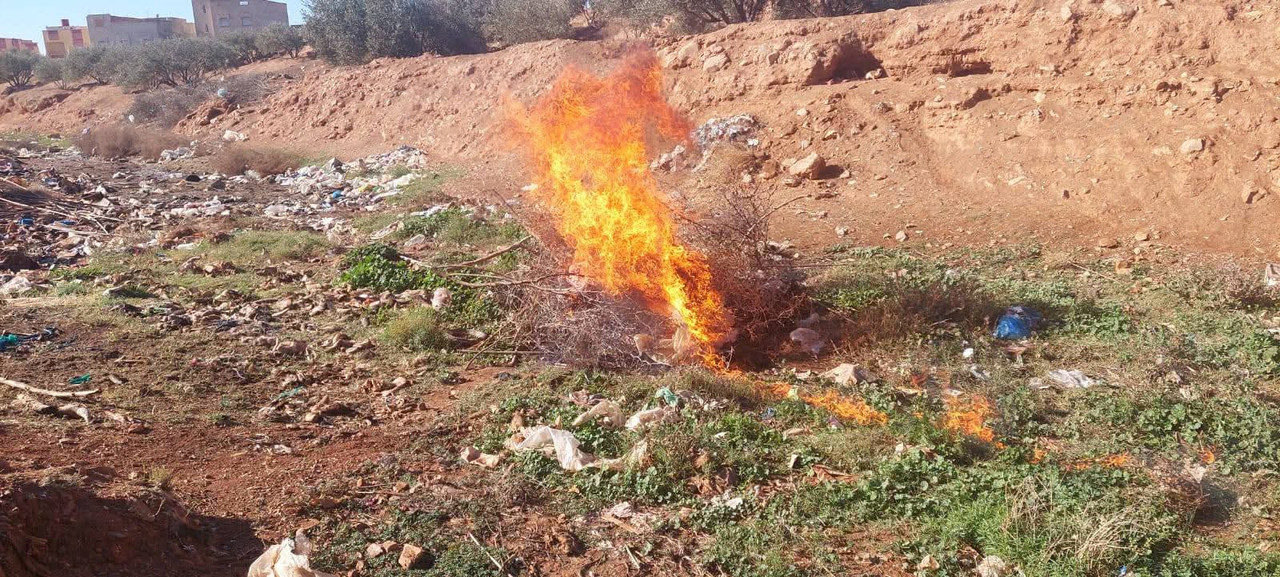 589396067-1979380579459231-5086873873272261699-n