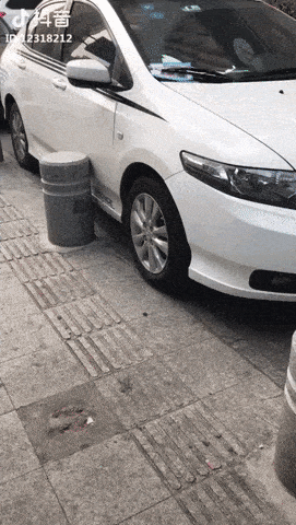 daily-gifdump-3412-28.gif