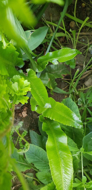 20190512_111952
