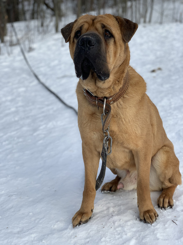 C3B626B8-77EA-40CE-9840-B44B708FBDF1